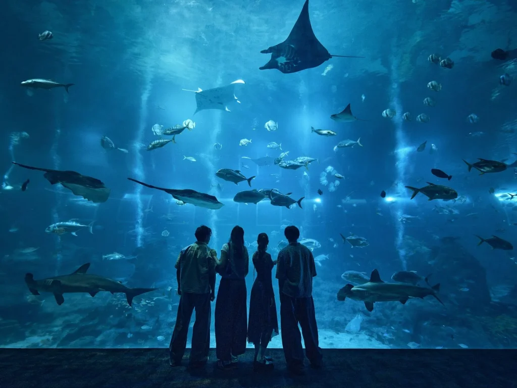 سنغافورة أوشيناريوم Singapore Oceanarium